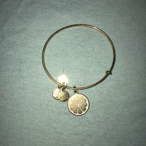 ALEX AND ANI Zest For Life Charm Bangle